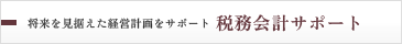 将来を見据えた経営計画をサポート　税務会計サポート